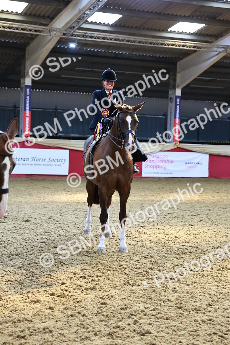 SBM_12803 - HOYS Veteran Qualifier - Ridden Champ