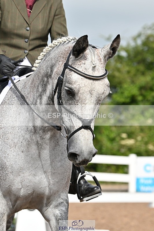 240623A-094247-15791 - Cls 44 BD Prelim 15