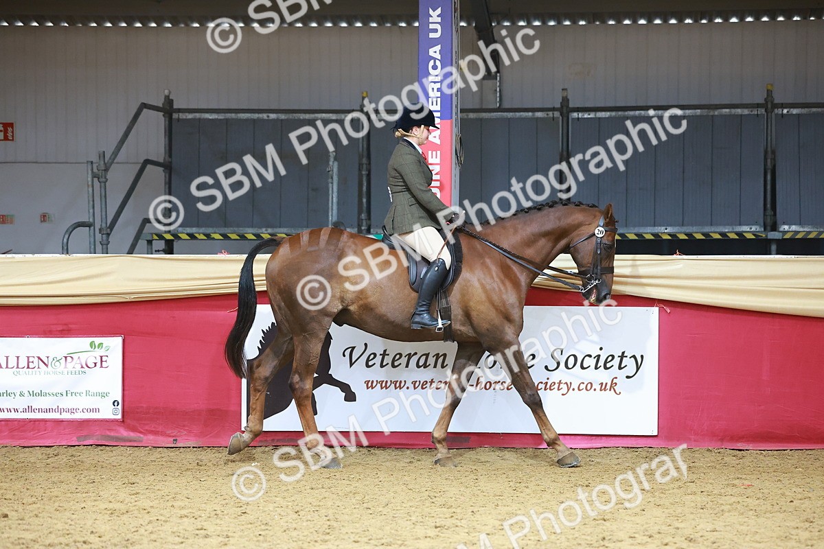 SBM_09597 - Class 102 - HOYS Veteran Qualifier - Ridden Veteran