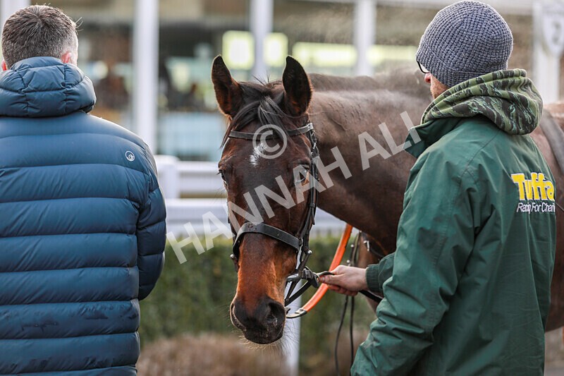 220125-Race 3-Emotional Roller-3705