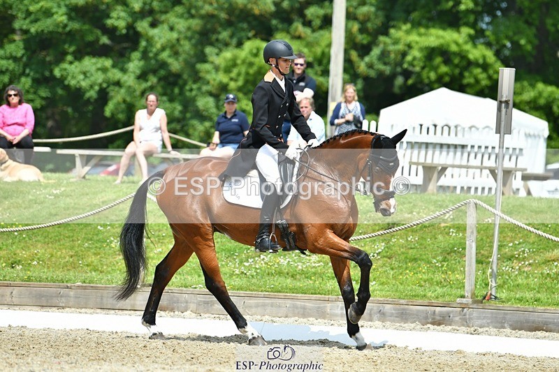 230525-113404-04051 - 201-JAEGER_MASTER-Tom_Woodward-WEDTrotUp+DR