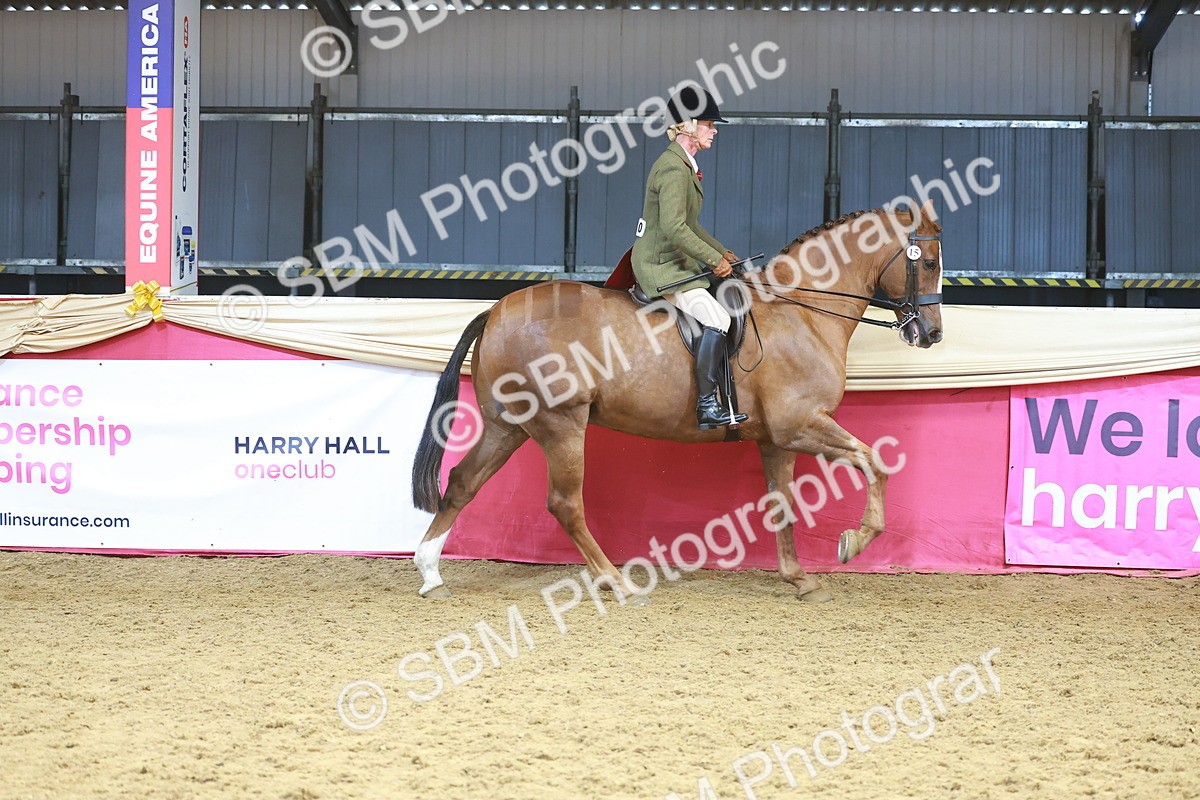 SBM_12460 - Class 103 - HOYS Veteran Qualifier - Ridden Pre Vet