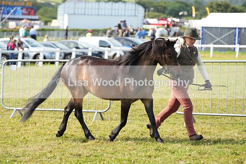 DSC04947 - Class 48: NPS M&M 2/3 year olds