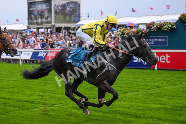 080925-Race 1-Proud Nation-7185 - Race 1 2.30pm Enter ITV7 For Free Confined EBF Maiden Stakes