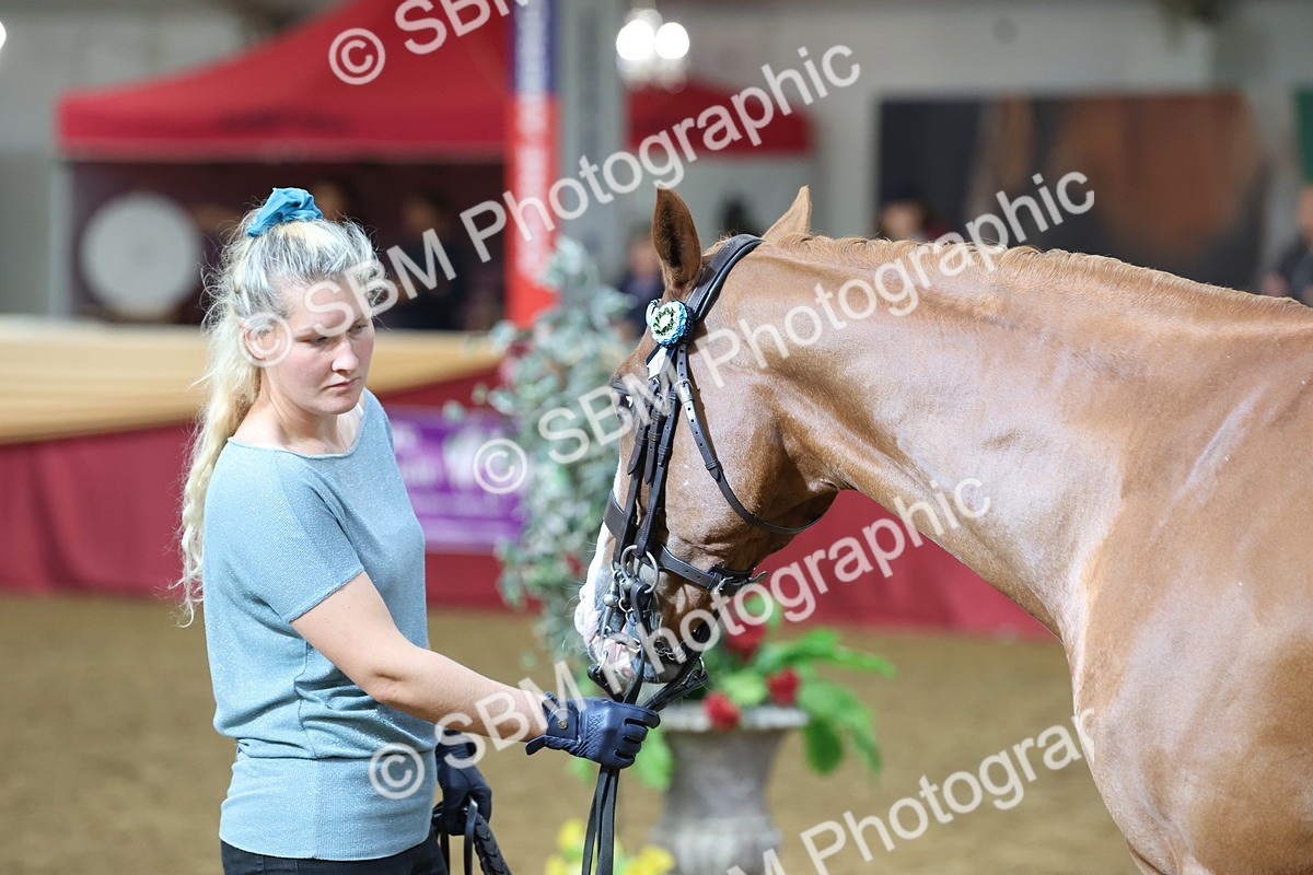 SBM_22519 - Class 902 - Supreme Final - IH Diamond