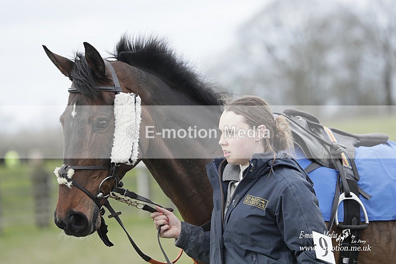 PtP 190323 286 - Oakley Hunt Point-to-Point Brafield-On-The-Green 19/03/23
