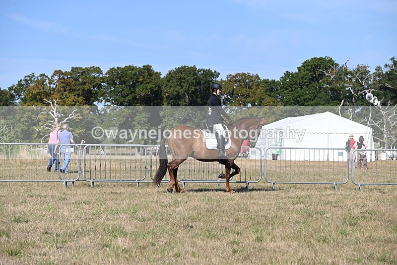 WJ6_7215 - Class 33 Rescue Pony