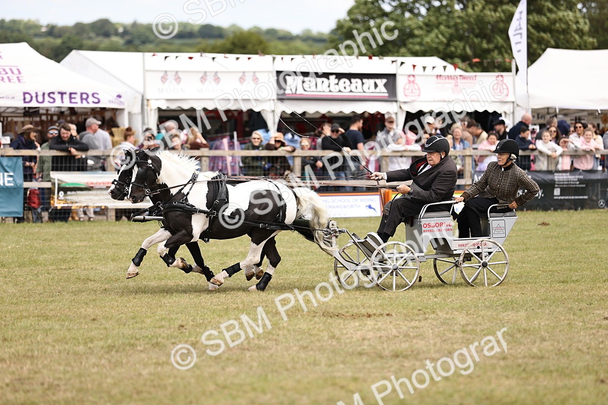 SBM_16081 - Class 91 - Scurry  exceeding 122cms