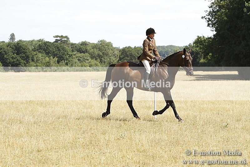 _BS_0725 - BVRC Show 2018 Ring 1