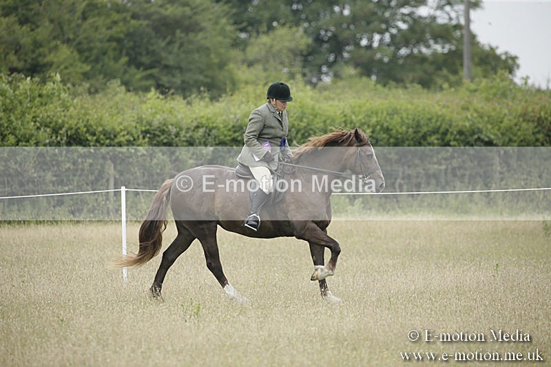 B230619-0546 - Bourne Valley Riding Club Summer Show 23/06/19