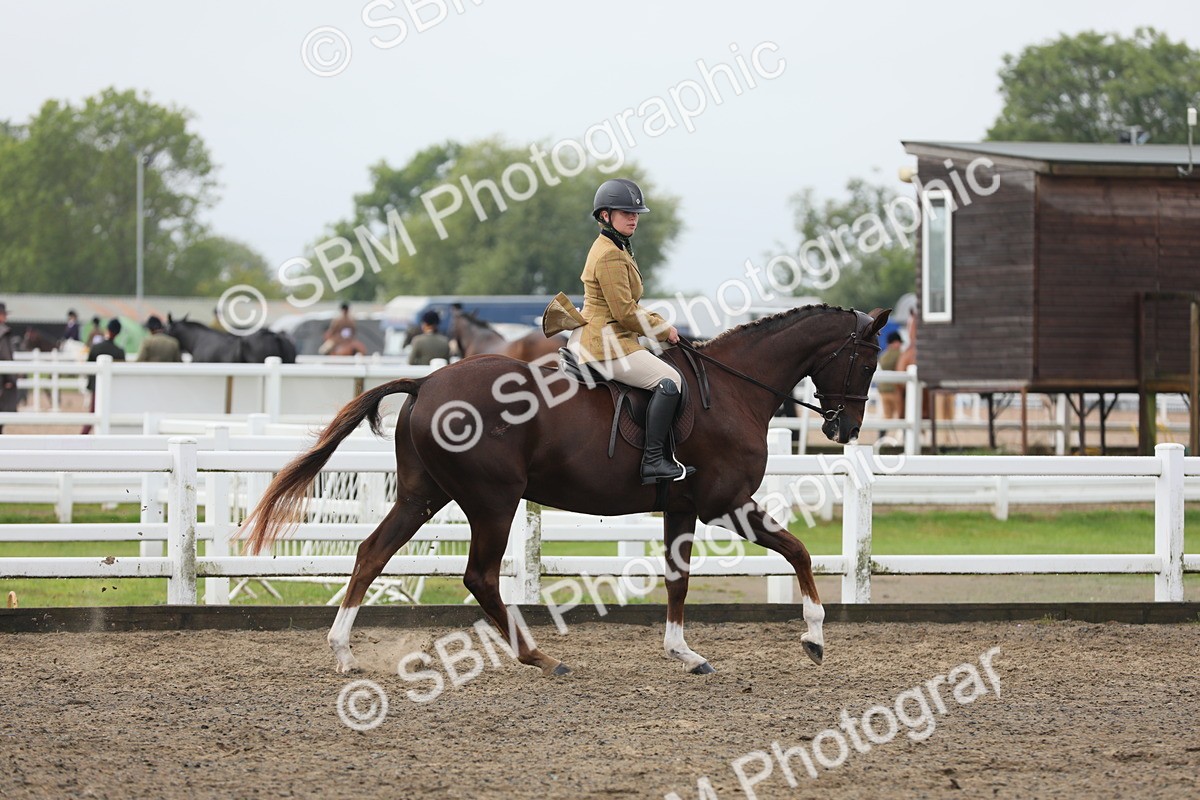SBM_21354 - Class 805 - Ridden Veteran Horse