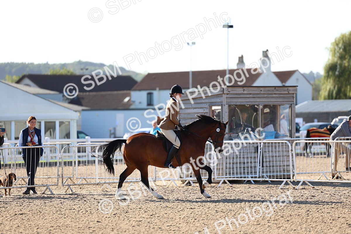 SBM_08835 - Class 302 - Ridden M&M - Large Breeds