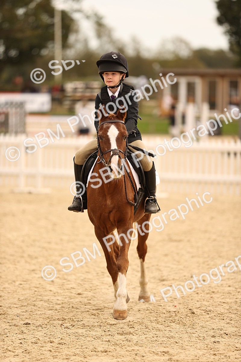 SBM_72457 - J14 - Junior Pony 65cm Championship