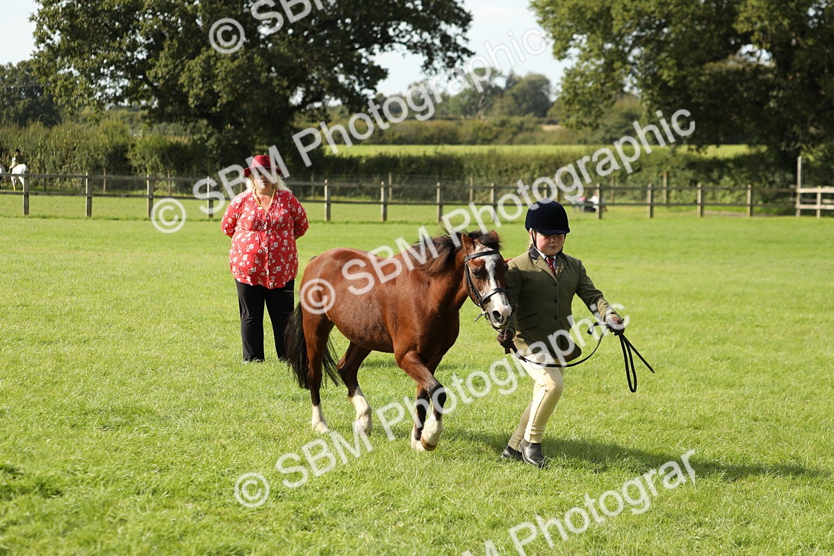 SBM_68608 - S40 - Junior Handler 9-12 Years