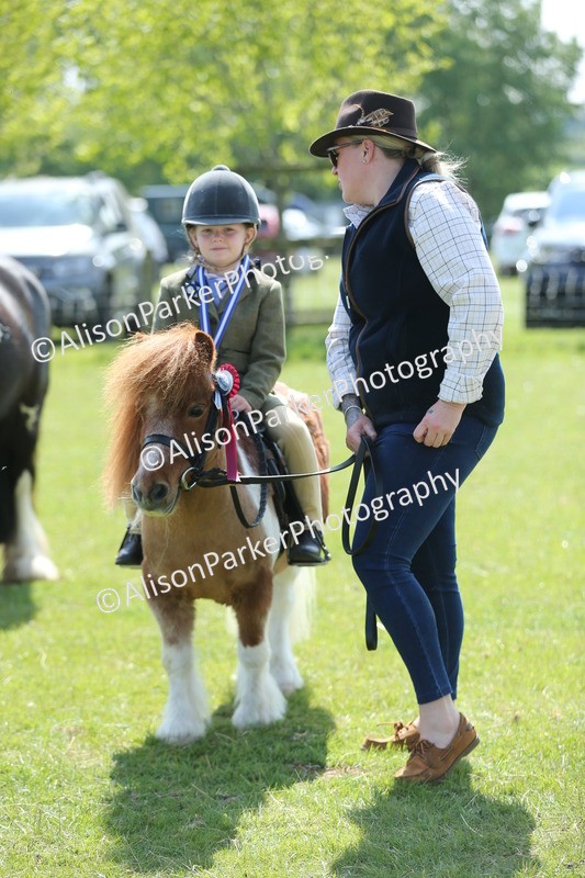20250427-2786 - Class 6 - Pony Judge Would Most Like To Take Home