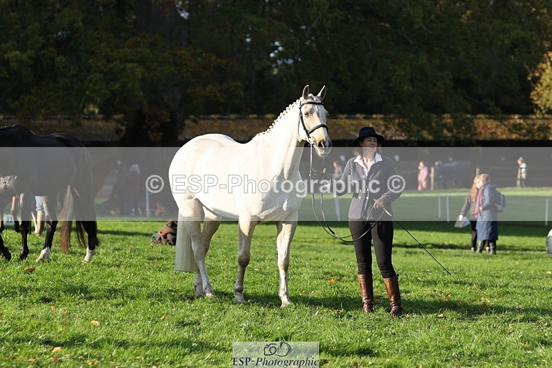 251026A-092741-22291 - D-344-Johanne.Heuff
