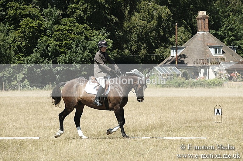 _PJP5914 - Dressage Classes BVRC Show 2018