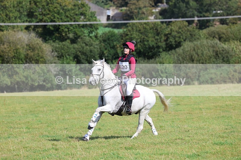 3E7A6689 - Class 1: Trebudannon Open: Pheasant Feeder