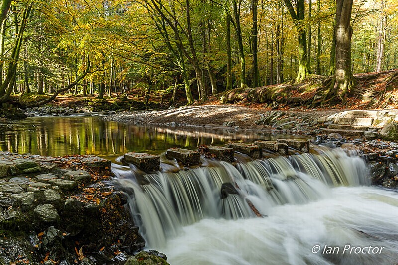 Tollymore Forest 2020 - Stepping Stones - Autumn