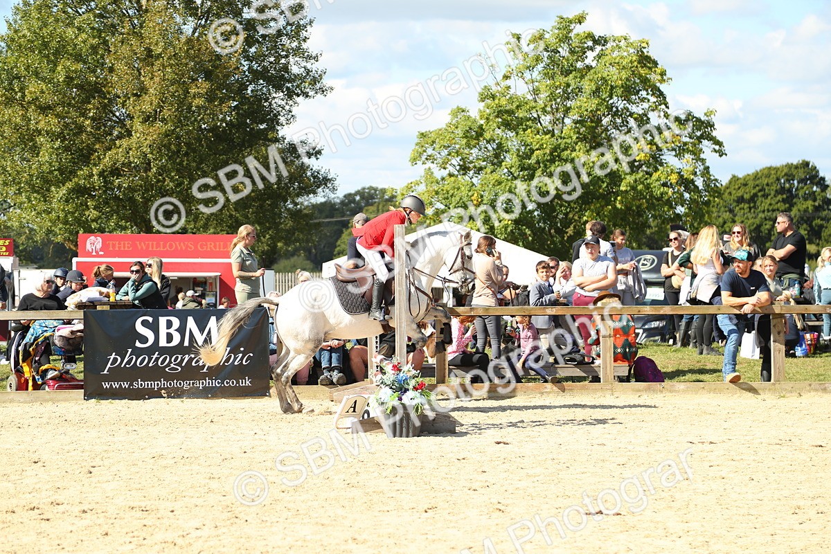 SBM_39400 - J6 - Junior Pony 55cm Championships