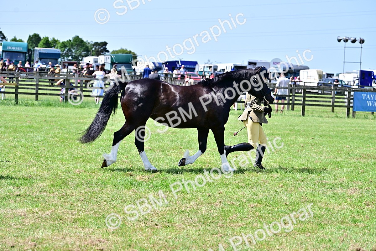 SBM_03905 - Class 58 - TSR  Ridden Veteran Amateur of the year