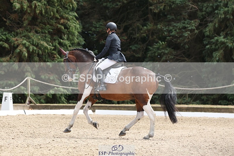 250809A-141941-03963 - 122-Lorraine.MorrisLissyegan.coloured.lady