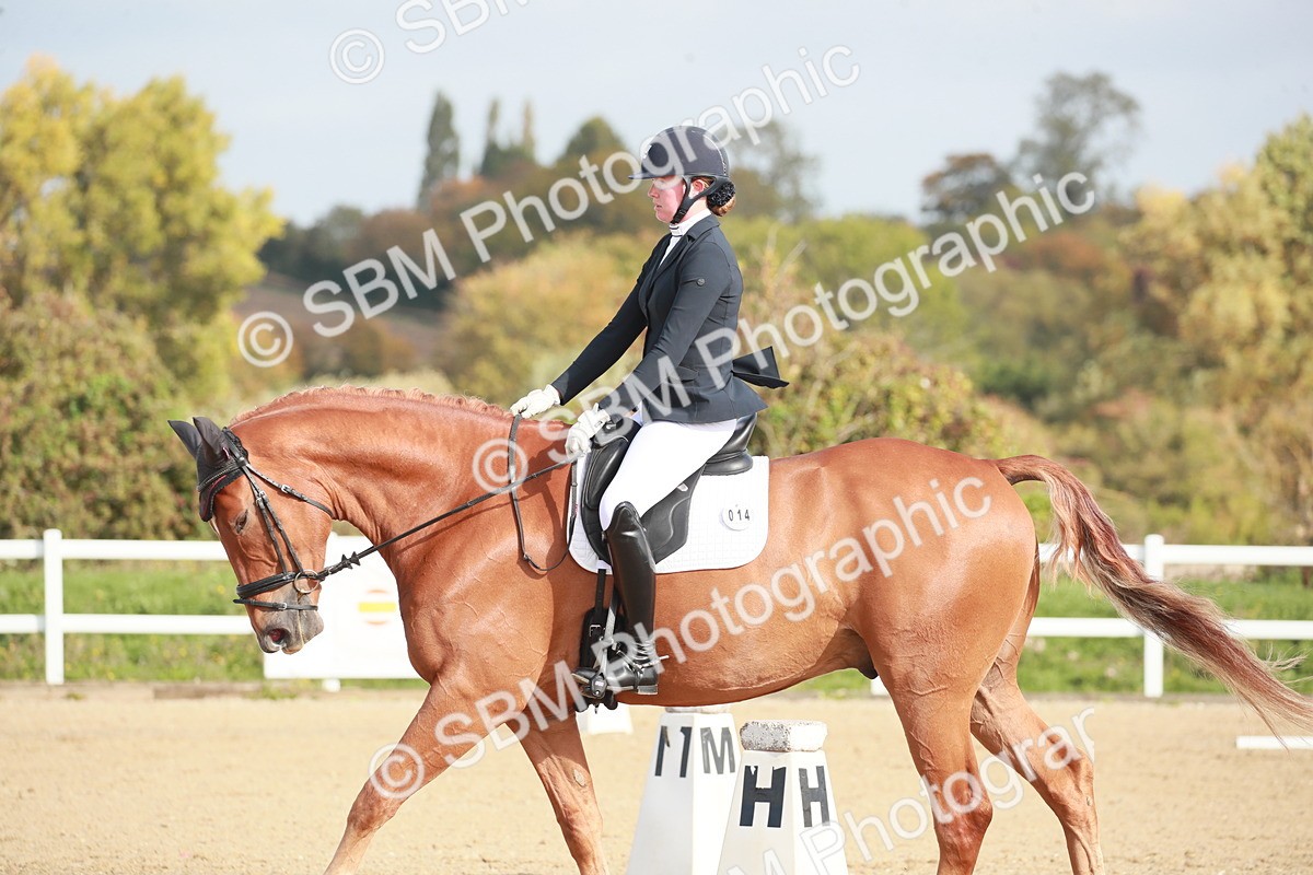 SBM_001737 - Class 4 - Novice 5