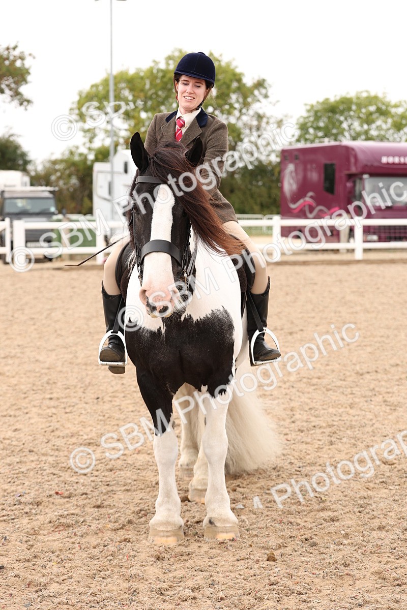 SBM_19745 - Class 216 - Ridden Traditional - Native Cob