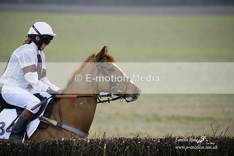 PtP 200222 750 - Countryside Alliance PtP Badbury Rings 20/02/22