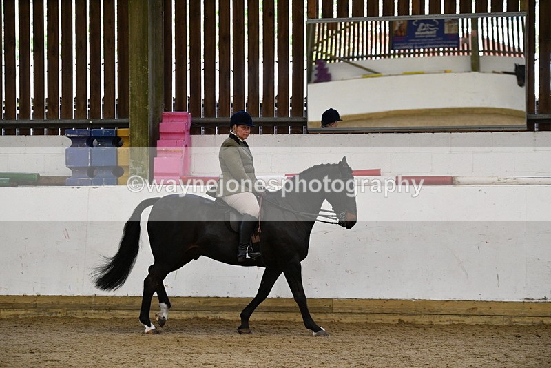 WJ5_7716 - Class 13 Ridden Part Breed