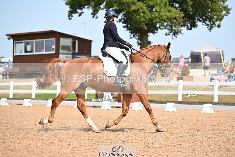 250816-134101-04886 - 080-Elizabeth.StoneZiggy