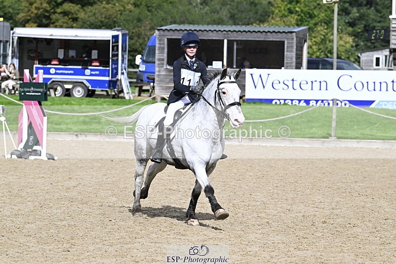 251005A-121013-03631 - Cls 08 Mini 70-75cm