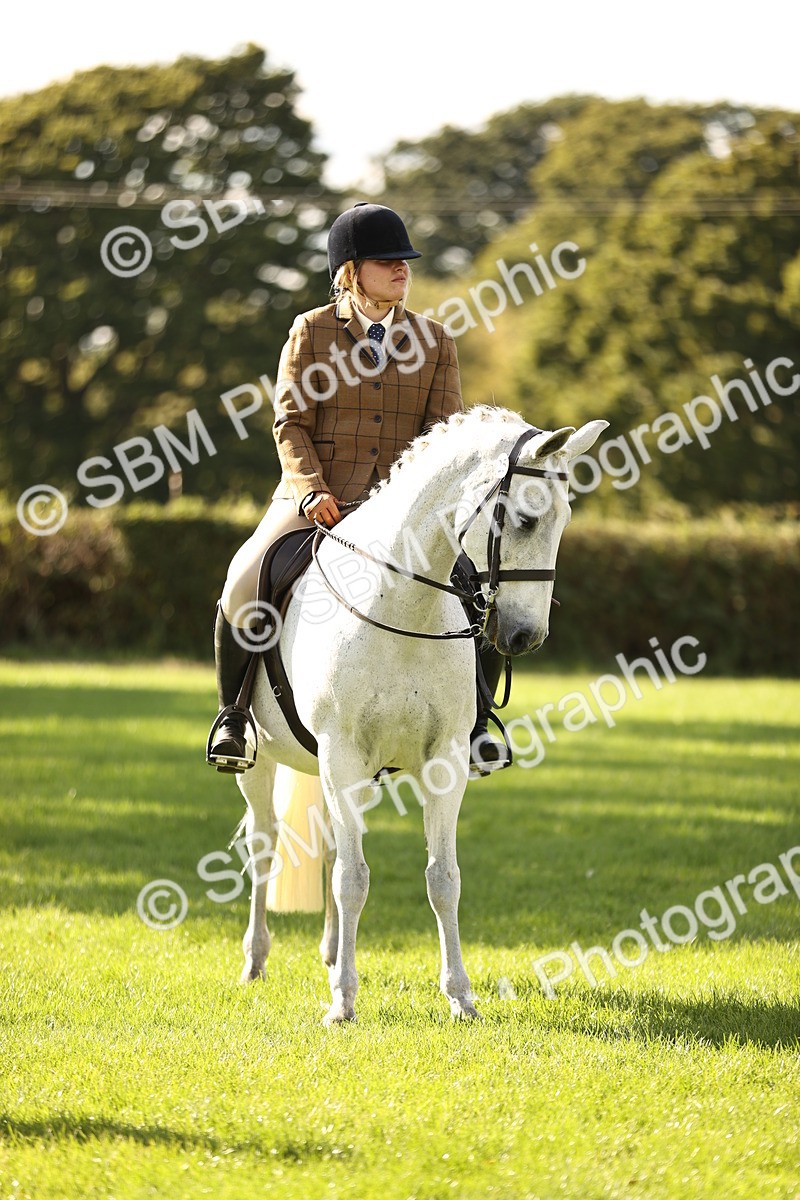 SBM_26416 - S6 - Novice & Newcomers Ridden Horse