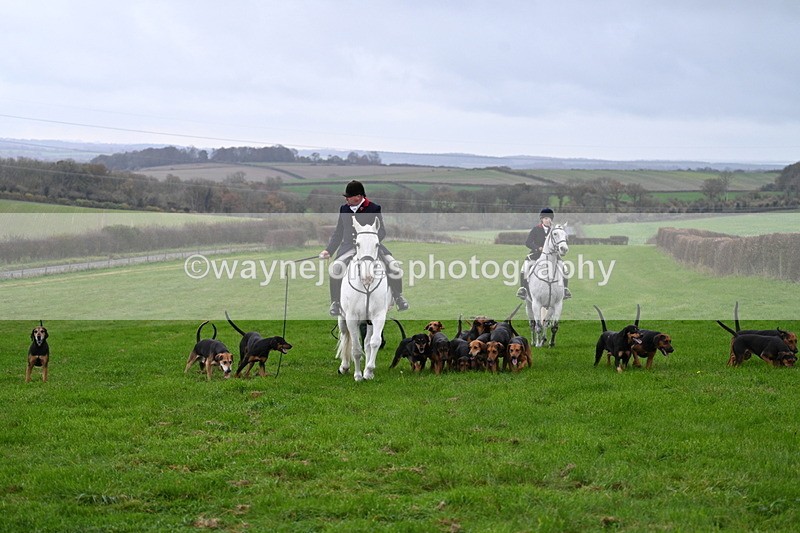 WJ7_8871 - Meet Staff & Hounds
