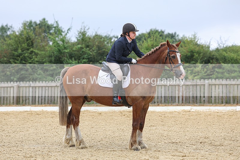 3E7A4774 - Class 1: Intro 4 2024 section A