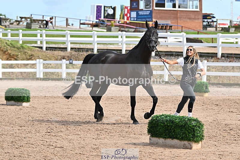 240717A-161624-03397 - Trot Up 4pm to 5pm