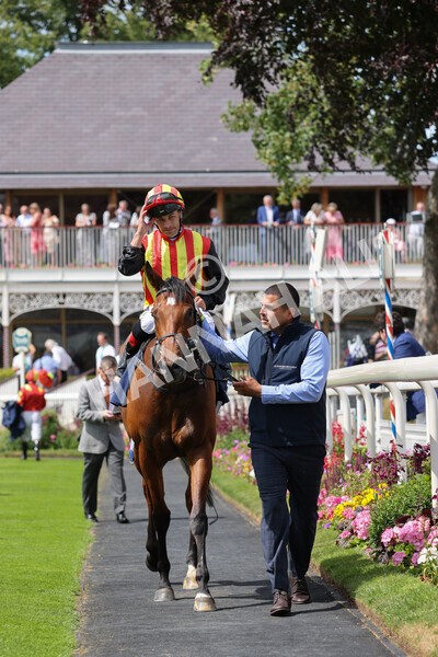 yr08072022r2-36 - Race 2 2.40pm William Hill Summer Stakes