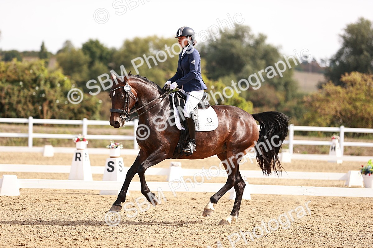 SBM_017577 - Class 11 - Advanced Medium 6