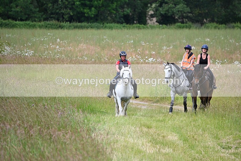 WJ6_8027 - Camera 1 Gallops