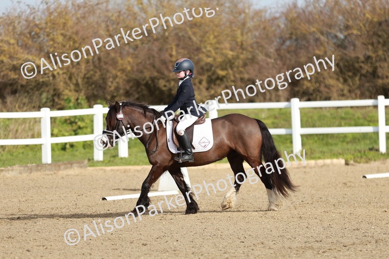 20260314-0114 - CT1 - Intro 1