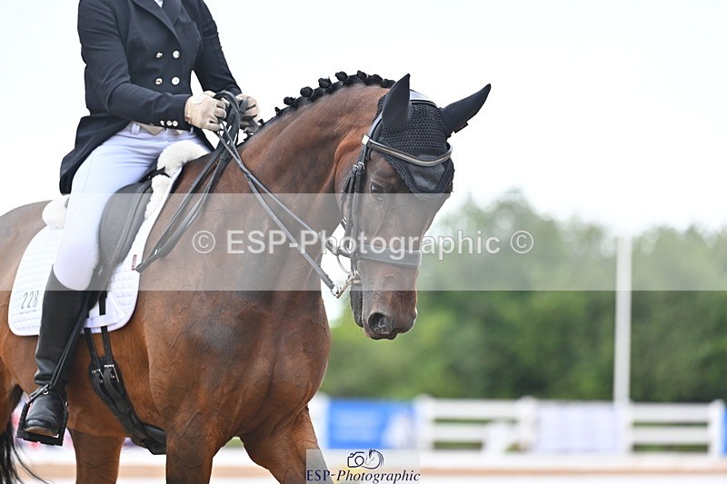 240815A-155400-02483 - 228-Nicola.Rapley-Scolari's.Glory