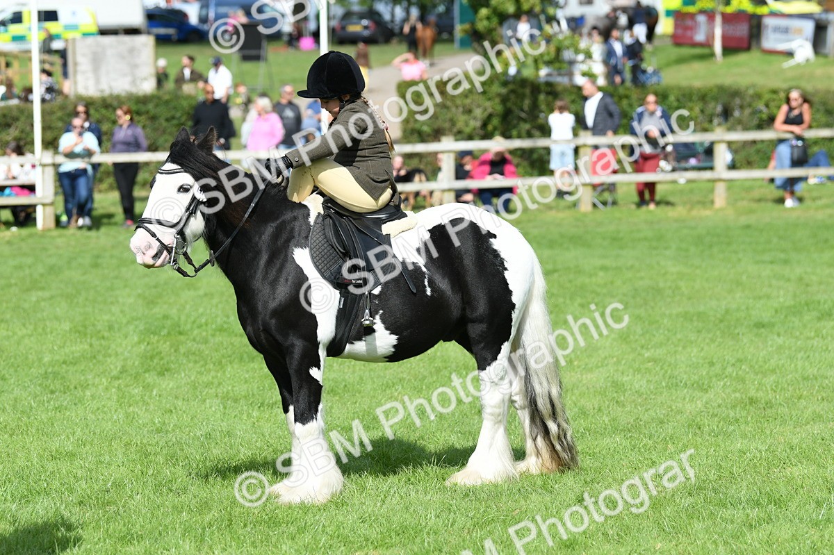 SBM_46980 - S12 - Family Horse & Pony