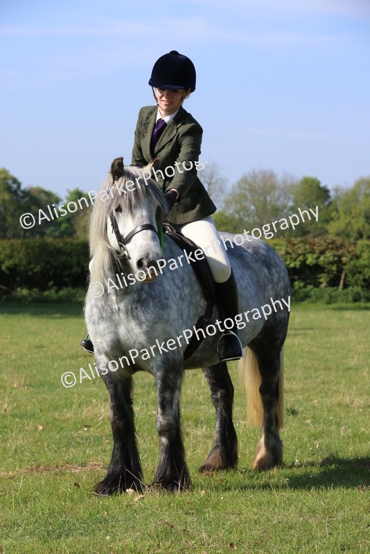 20250427-0585 - Class 17 - Novice Showing
