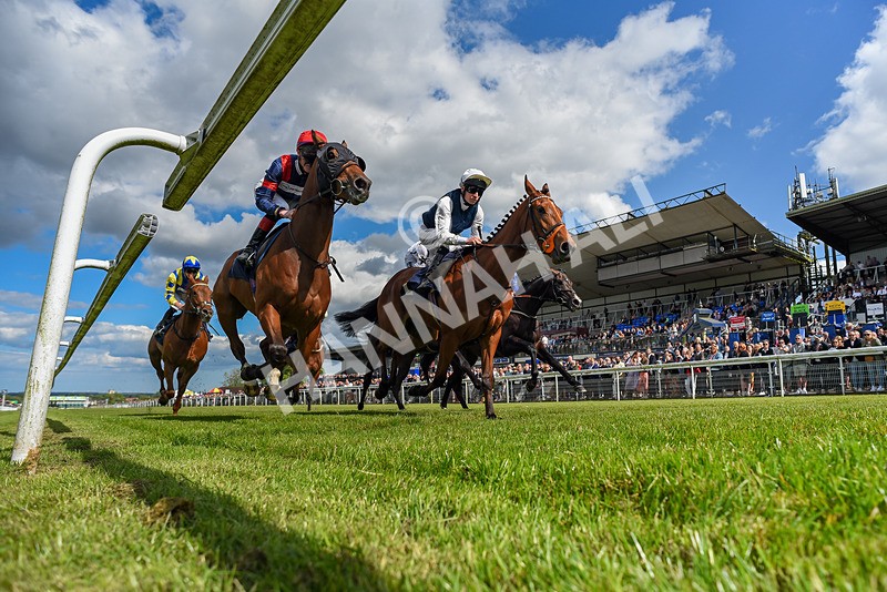 080624-Race 6-Walter Hartright-0579 - Race 6
