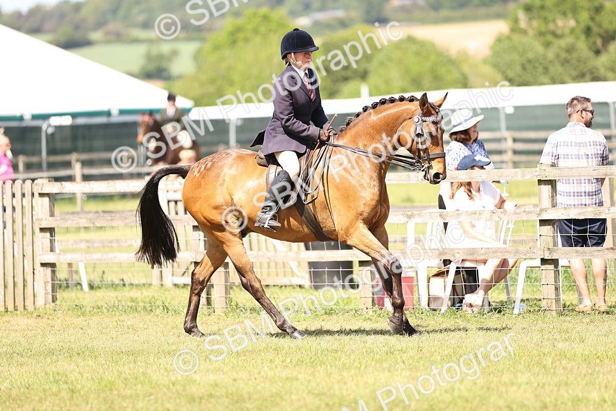 SBM_17996 - Class 81-83 - TSR Ridden Amateur of the Year - Horses