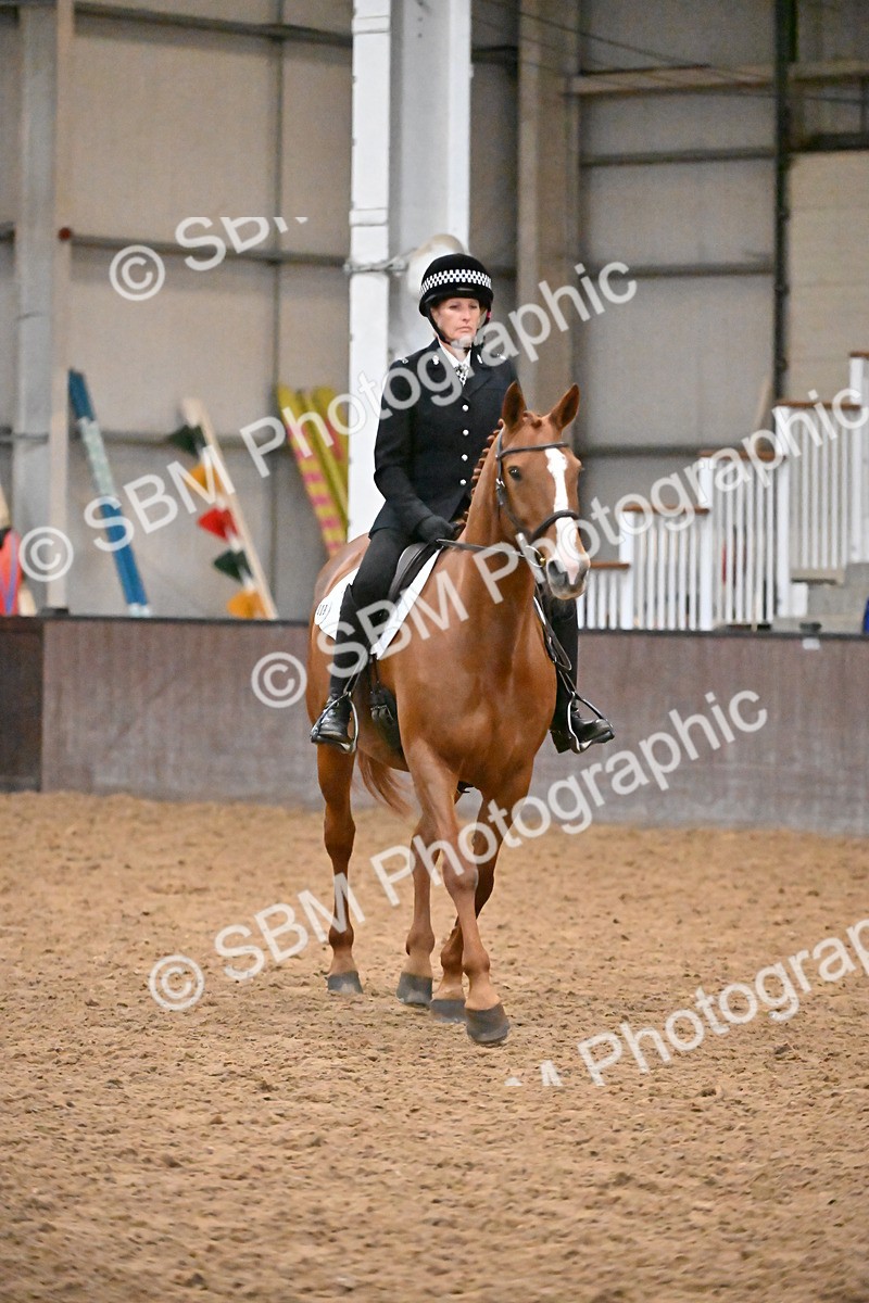 SBM_003013 - Class 37,38 - UKPSAF Performance Horse & Pony