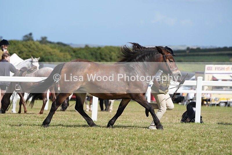 DSC07565 - Class 62: Child Handler
