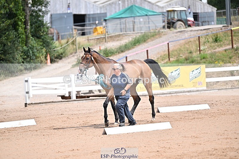 250716-125541-00223 - Trot Up 12.30 to 1.30