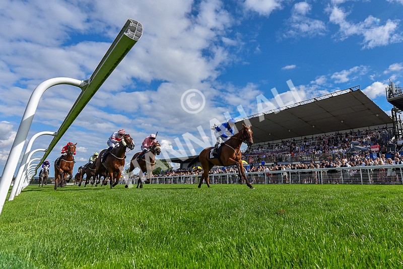 300826-Race 4-Financer-6637 - Race 4 3.20pm Ward Homes Yorkshire Handicap