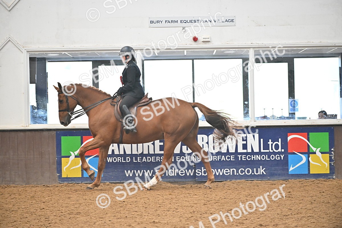 SBM_002734 - Ridden Showing Supreme Championships